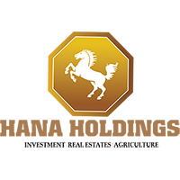 Logo hana holdings 