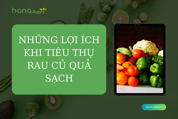 Những lợi ích khi tiêu thụ rau củ quả sạch
