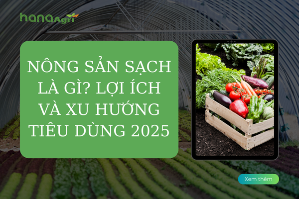 Nông sản sạch là gì? Lợi ích và xu hướng tiêu dùng 2025