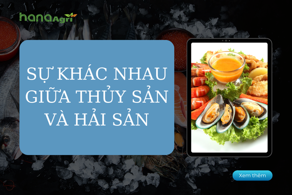 Sự khác nhau giữa thủy sản và hải sản