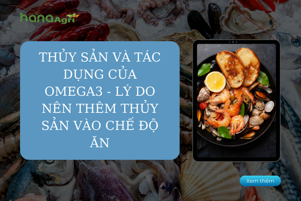 Thủy sản và tác dụng của Omega3 - Lý do nên thêm thủy sản vào chế độ ăn